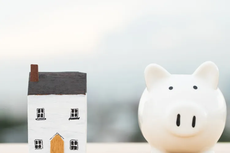 biała świnka skarbonka i dom 