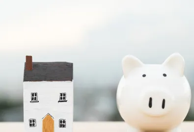 biała świnka skarbonka i dom 