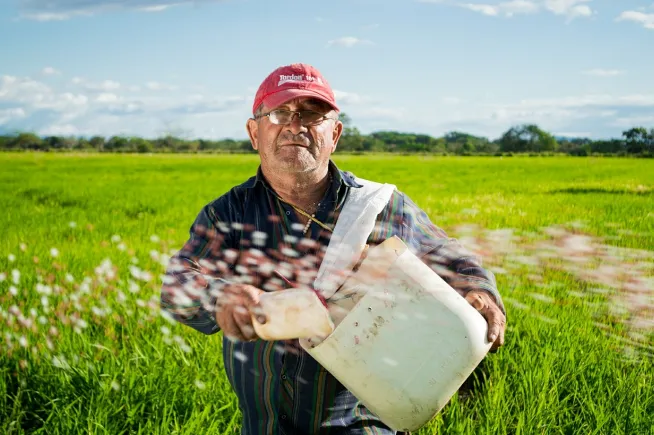 zdjęcie starszego mężczyzny stojącego na polu